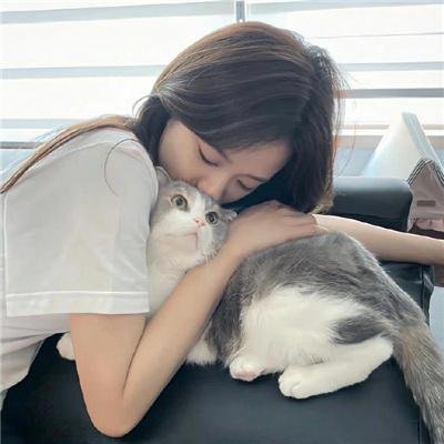 上流社会